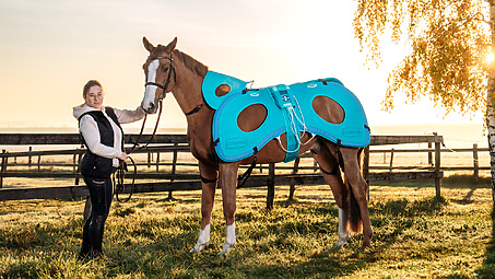 Neue Generation der veterinären Magnetfeldtherapie Biomag